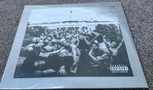 The front of ‘Kendrick Lamar - To Pimp a Butterfly’ on vinyl.